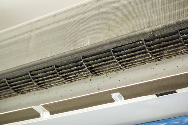 Best Dryer Vent Cleaning Services  in Navesink, NJ